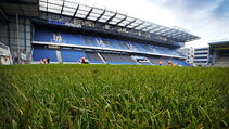 Hybrid Turf Sporthybrid R Arminia Bielefeld