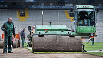 Hybrid Turf Sporthybrid R Arminia Bielefeld