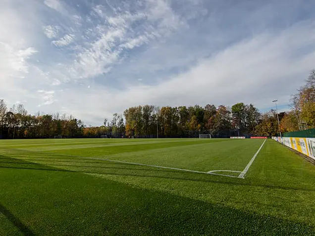 Hybridrasen Arminia Bielefeld