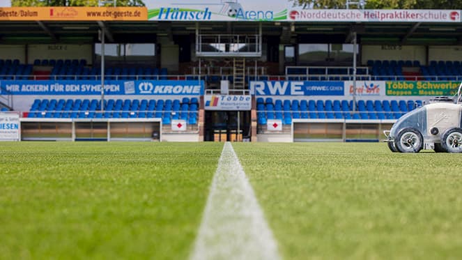 SV Meppen Stadion Rasen