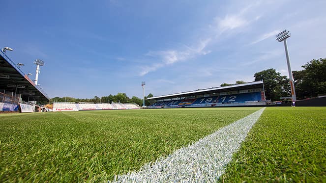 SV Meppen Stadion Rasen