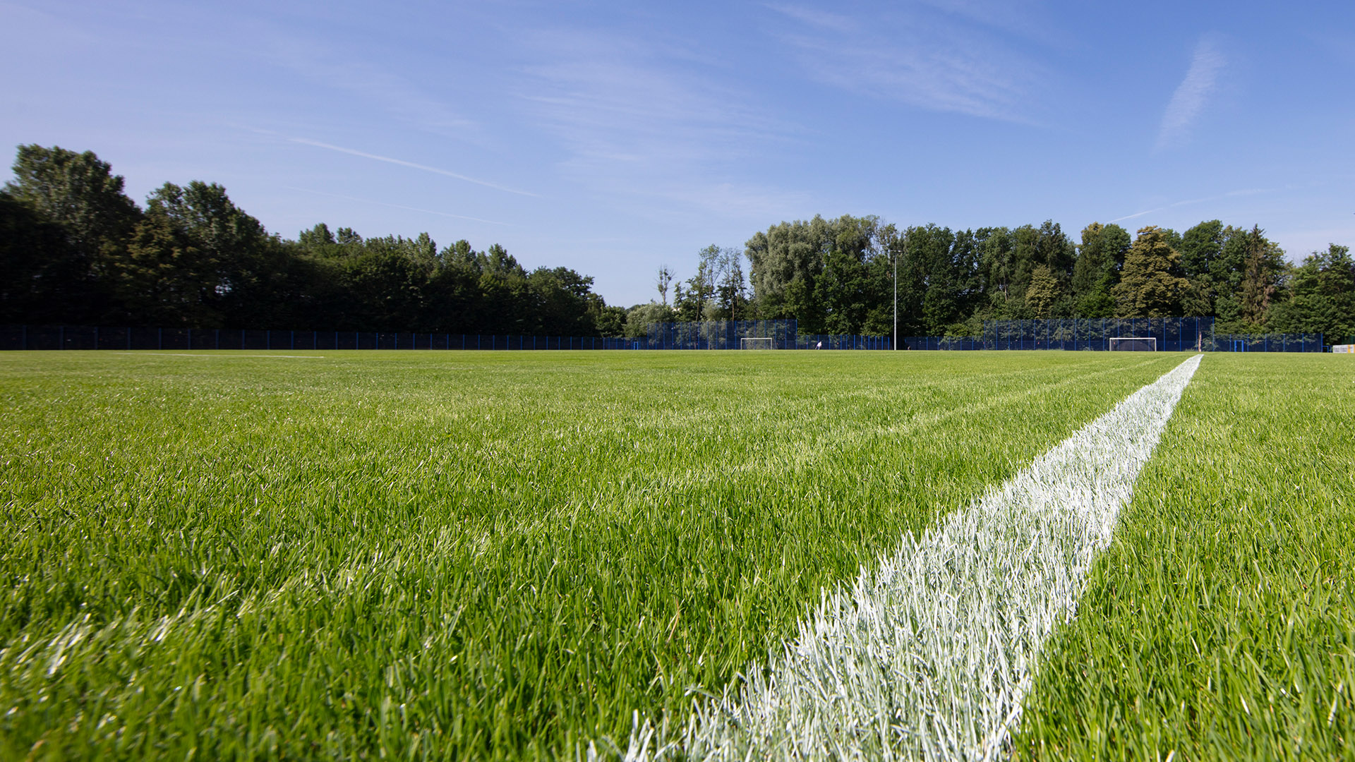 Naturrasenplatz Fußball