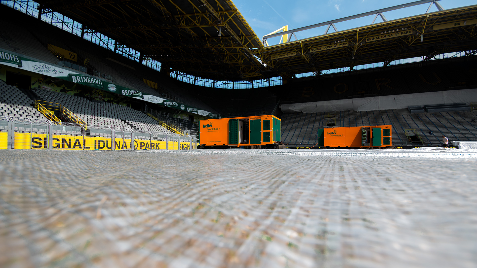 Evergreen Turf Cover Rasenwachstum